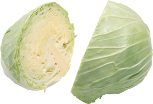 Cabbage PNG image-8814